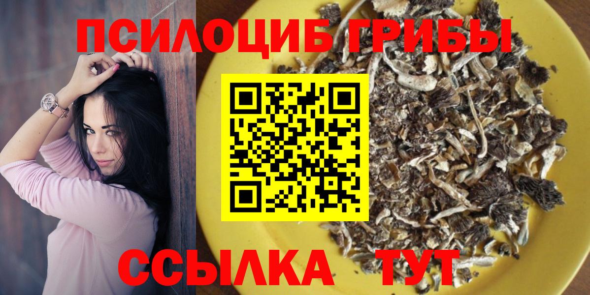 Псилоцибиновые грибы Psilocybe Каменск-Шахтинский